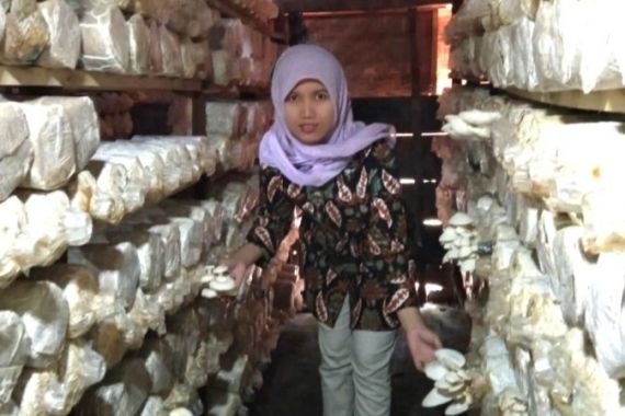 Seorang Guru Beralih jadi Pengusaha Jamur Tiram di Semarang, Begini Kisahnya - JPNN.COM