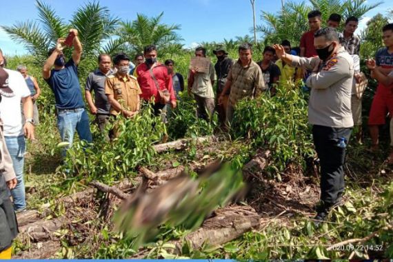 Mayat Joko Febriyanto Ditemukan Penuh Luka di Pinggir Jalan, Warga Geger, Lihat Fotonya - JPNN.COM