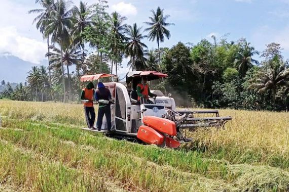 BPS: September NTP Naik dan Harga Gabah Terjaga - JPNN.COM