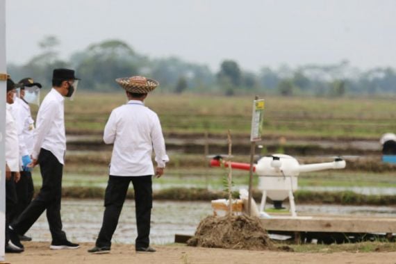 Presiden Jokowi Tinjau Percontohan Kawasan Food Estate Kalteng - JPNN.COM