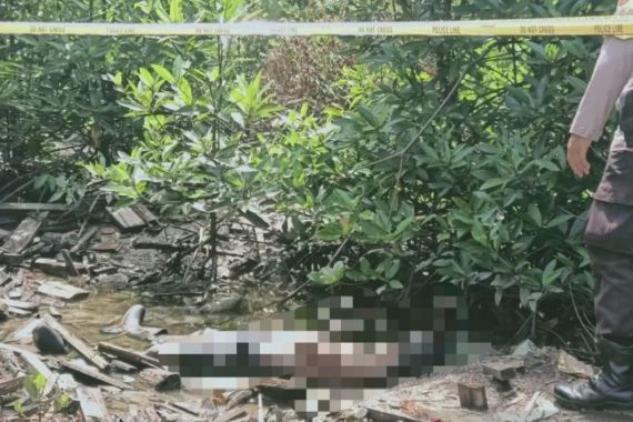 Penjaga Malam Ditemukan Tewas Tanpa Baju di Hutan Bakau - JPNN.COM