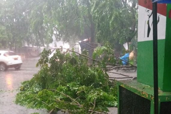 Hujan Angin Sore Hari Akibatkan Berbagai Bencana di Bekasi - JPNN.COM