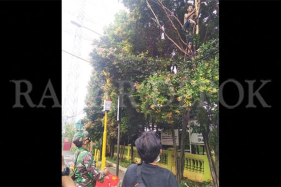 Seorang Pria di Depok Tiba-Tiba Memanjat Pohon, Lalu Mengumandangkan Azan - JPNN.COM