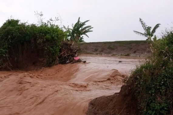 Tanggul Sungai Jebol, Padi Siap Panen Terendam, Tambak Rusak - JPNN.COM