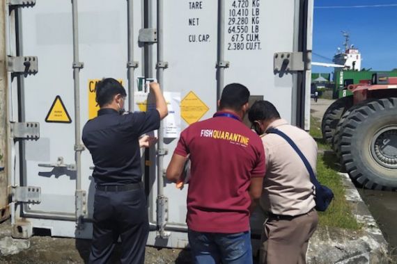 Jelang Akhir Tahun, Kegiatan Ekspor Bea Cukai Maluku Makin Meningkat - JPNN.COM