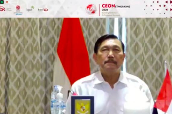 Hadir di Acara CEO Networking 2020, Menko Luhut Menyampaikan Hal ini - JPNN.COM