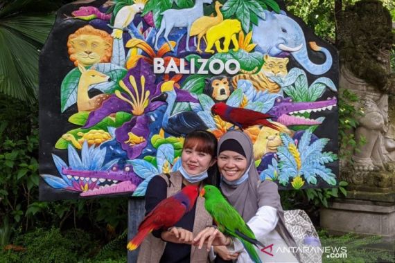 Bali Zoo Mulai Bangkit di Tengah Pandemi COVID-19 - JPNN.COM