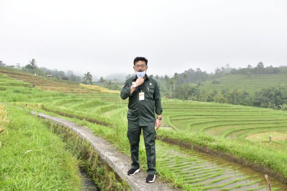 Gairahkan Agrowisata Jatiluwih, Mentan SYL Dorong Mina Padi - JPNN.COM
