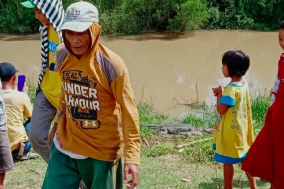 Heboh Buaya Besar Nongol di Pinggiran Sungai, Warga Resah Minta Pemerintah Turun Tangan - JPNN.COM
