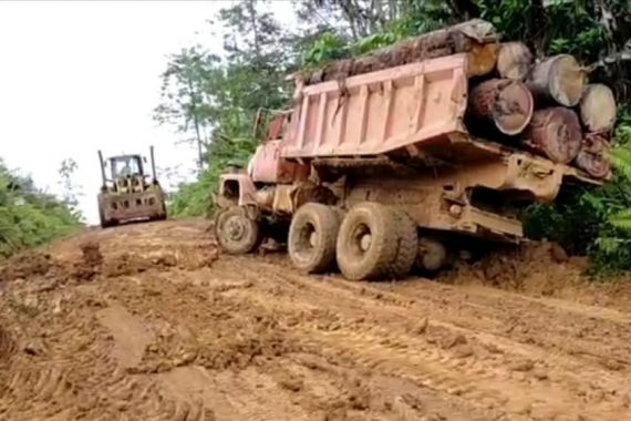 Bareskrim Bongkar Tindak Pidana Illegal Logging di Katingan - JPNN.COM