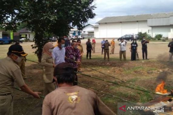 Anak Buah Anies Baswedan Musnahkan 1,3 Ton Daging Babi di Jakarta Utara - JPNN.COM