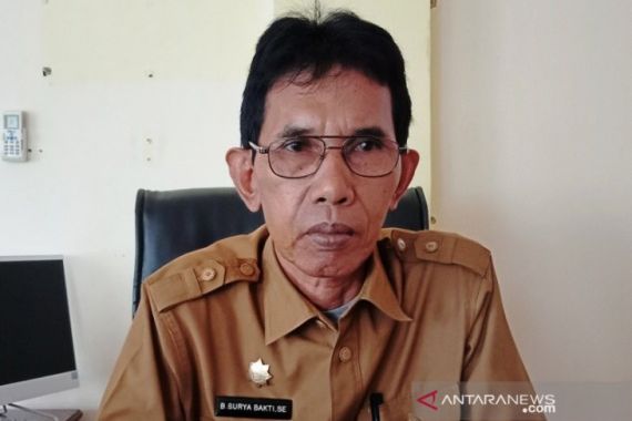 Ratusan Tenaga Honorer di Daerah Ini Diberhentikan Pemda Setempat - JPNN.COM