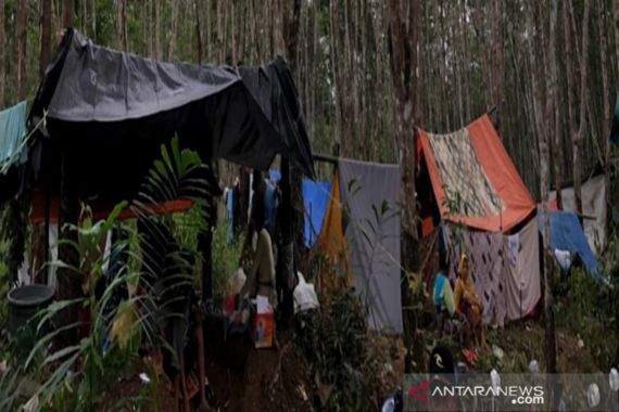 Kenapa Sejumlah Korban Banjir Kalsel Memilih Mengungsi di Tenda Terpal? - JPNN.COM