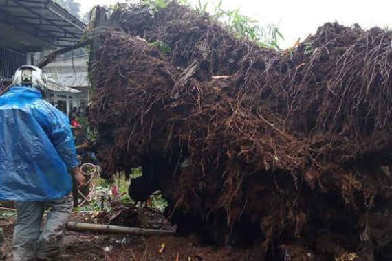Puncak Bogor Bencana Lagi, Habis Banjir Bandang Kini Longsor - JPNN.COM