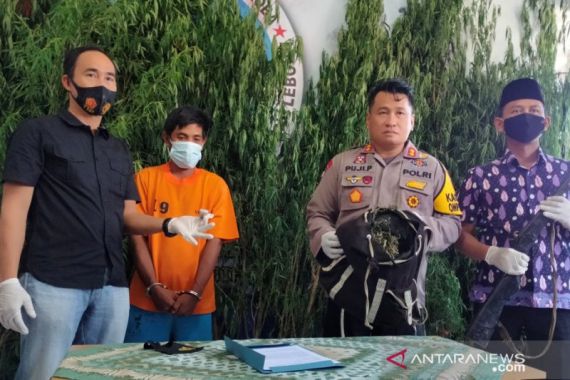AS, Petani Kopi di Bengkulu Terancam Hukuman 20 Tahun Penjara - JPNN.COM