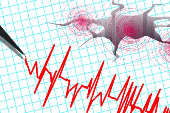 Paser Diguncang Gempa Berkekuatan 4,5 Magnitudo, Terasa Hingga Kawasan IKN - JPNN.COM