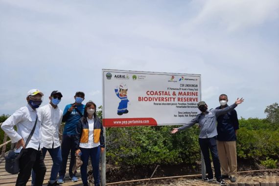Pertamina dan SKK Migas Turut Menanam Cemara Laut di CMBR Lembung Paseser - JPNN.COM