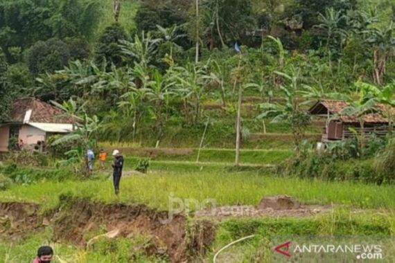 Amblas, Belasan Hektare Lahan Pertanian Sukaresmi-Cianjur Gagal Panen, Begini Kondisinya... - JPNN.COM