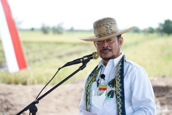 Mencegah Harga Anjlok, Mentan Syahrul Yasin Limpo Minta Bulog Serap Gabah Petani - JPNN.COM