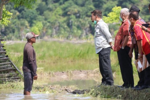 Food Estate Rotiklot, Daerah Model Percontohan Ketahanan Pangan Nasional - JPNN.COM