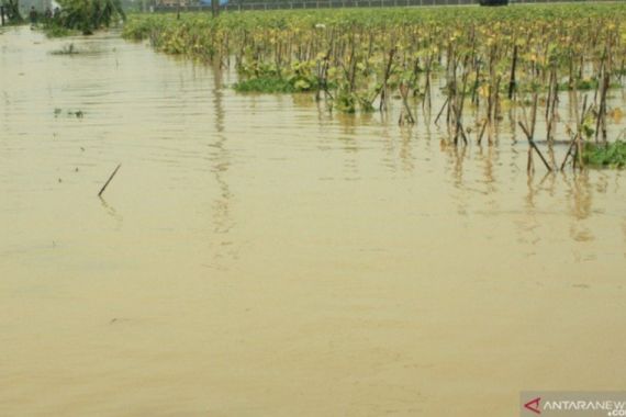 Banjir Rendam 1.085 Hektare Areal Sawah di Karawang - JPNN.COM