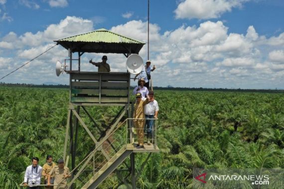 Hero: Korporasi Perkebunan Bertanggung Jawab Jaga Lahan Konsesi dari Karhutla - JPNN.COM