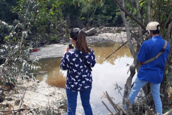Ribuan Ikan Mati Mendadak di Aliran Sungai Kampung Tengah Muarabulian, Sengaja Diracun - JPNN.COM