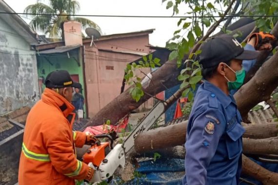 Hujan Badai Guyur Kota Bekasi, Banyak Pohon Tumbang - JPNN.COM