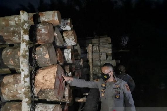 3 Pak Bos Ditangkap Polda Jambi, 2 Orang Masih Diburu - JPNN.COM