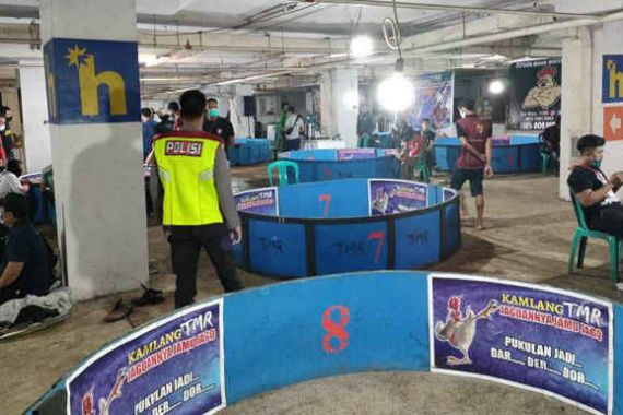 Kontes Ayam di Bogor Dibubarkan Petugas - JPNN.COM