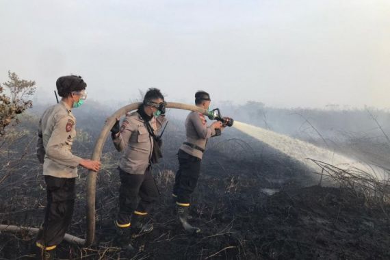 BMKG Keluarkan Peringatan Dini Ancaman Kebakaran Lahan dan Hutan, Waspada! - JPNN.COM
