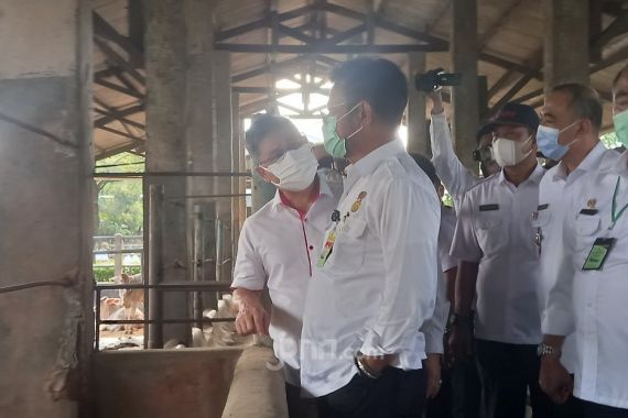 Jelang Ramadan, Kementan Pastikan Pasokan Daging Tersedia - JPNN.COM