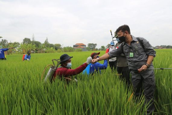 Perkuat Perekonomian, Kementan Gerakkan Padat Karya di Karanganyar - JPNN.COM