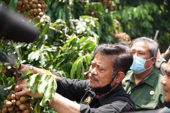 Mentan Syahrul Yasin Limpo Dorong Pengembangan Agrowisata Buah - JPNN.COM