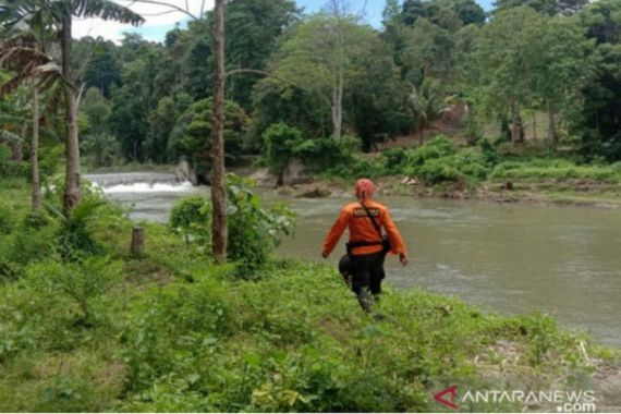 Tim SAR Cari Lansia Petani, Diduga Hilang di Hutan Kolaka - JPNN.COM