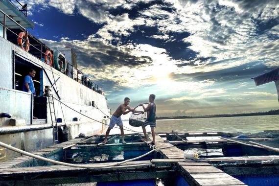 Bea Cukai Kawal Ekspor Ikan dan Produk Perikanan di Berbagai Daerah - JPNN.COM