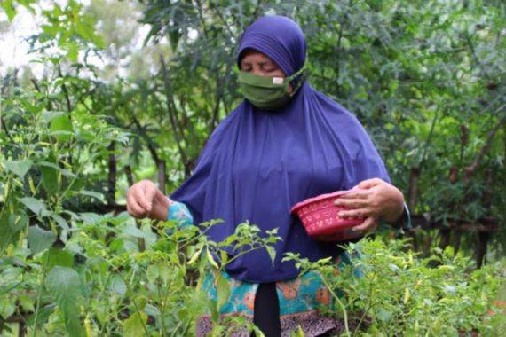 Kebun PKH Lansia, Sarana Rekreatif Kurangi Risiko Kepikunan - JPNN.COM