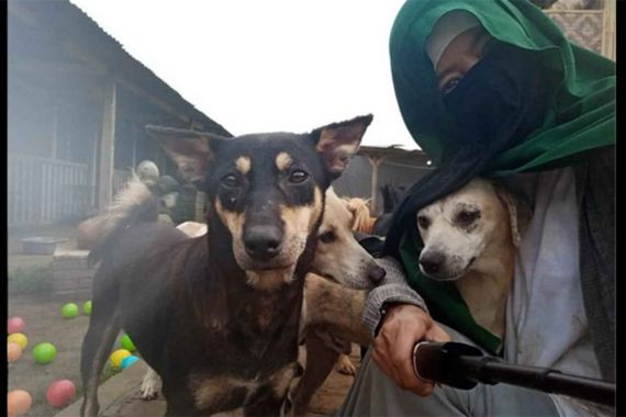 Ini Tentang Perempuan Bercadar Pemilik 70 Anjing di Bogor - JPNN.COM