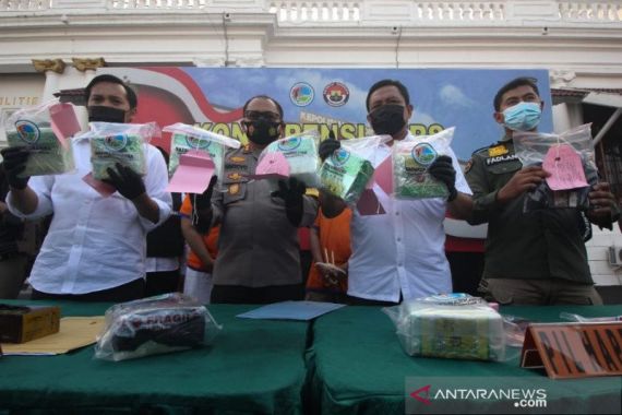Petugas Polrestabes Surabaya Ditabrak Mobil yang Membawa 3 Kg Sabu-sabu, Tegang, Wanita Terlibat - JPNN.COM