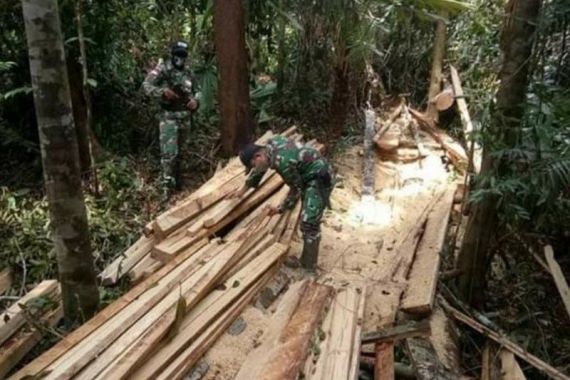 Patroli Menelusuri Hutan Perbatasan, Satgas Pamtas Yonif 642/Kps Temukan Kayu Hasil Pembalakan Liar - JPNN.COM