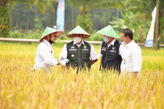 Mentan Syahrul Yasin Limpo: Pupuk Subsidi di Karawang Aman - JPNN.COM