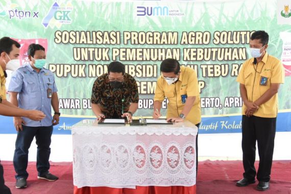 Upaya Petrokimia Gresik Genjot Produksi Tebu di Jawa Timur - JPNN.COM