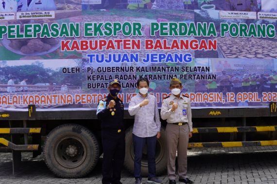 Bea Cukai Fasilitasi Ekspor Umbi Porang Kalimantan ke Jepang - JPNN.COM