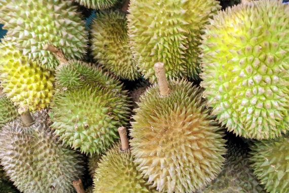 Apakah Ada Efek Samping Konsumsi Durian dengan Manggis? - JPNN.COM