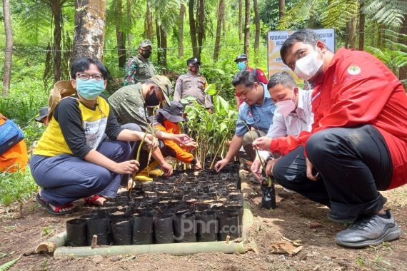 KLHK Lanjutkan Kebijakan PEN dengan Tingkatkan Peran Masyarakat ke Agroforestri - JPNN.COM
