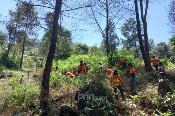 Sekat Bakar, Upaya MPA Paralegal Majalengka Cegah Kebakaran Hutan di Gunung Ciremai - JPNN.COM