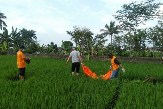 Sabtu Siang Warga Ciampea Bogor Geger - JPNN.COM