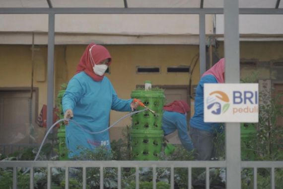 BRI Peduli Bantu Urban Farming di 18 Lokasi di Indonesia, Total Donasi Rp 1,8 Miliar   - JPNN.COM