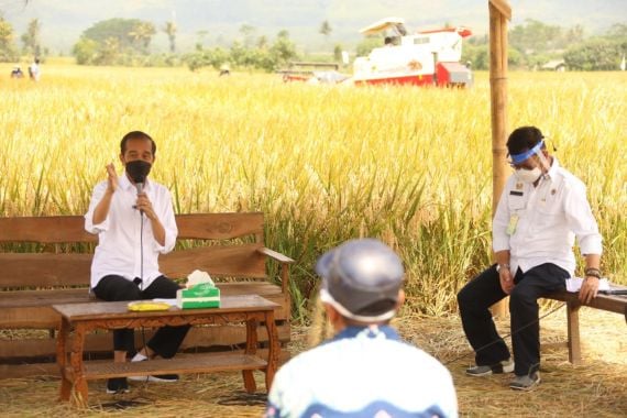 Dampingi Pak Jokowi Saat Panen Raya Padi di Ngawi, Mentan SYL: Jangan Terlalu Lama - JPNN.COM