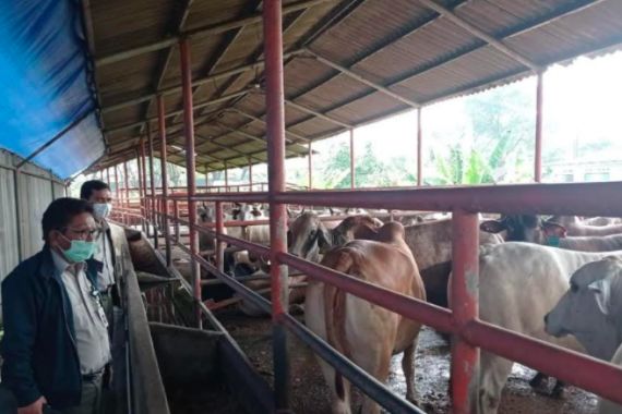 Kunjungi RPH, Kementan Pastikan Ketersediaan Daging Sapi Aman untuk Lebaran - JPNN.COM